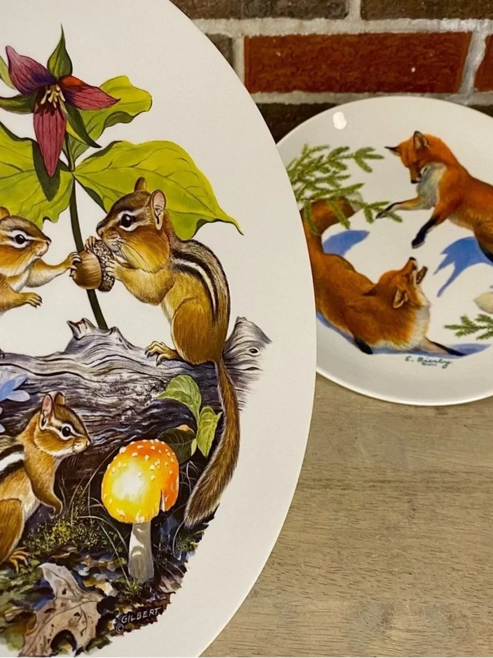 White Ceramic Decorative Plates with Fox & Chipmunk Nature Illustrations